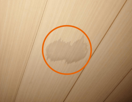 糞尿のラットサイン