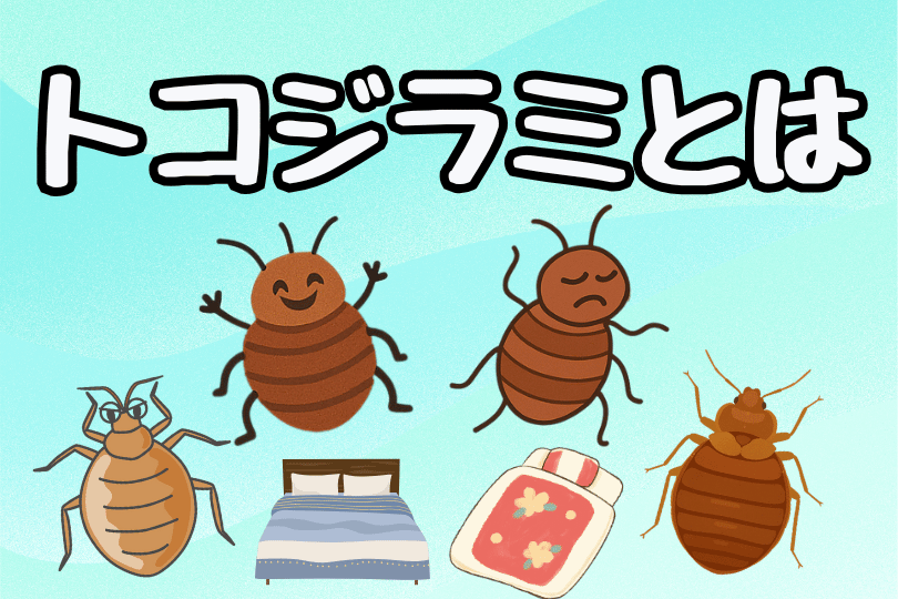 トコジラミの生態を比較するイラスト