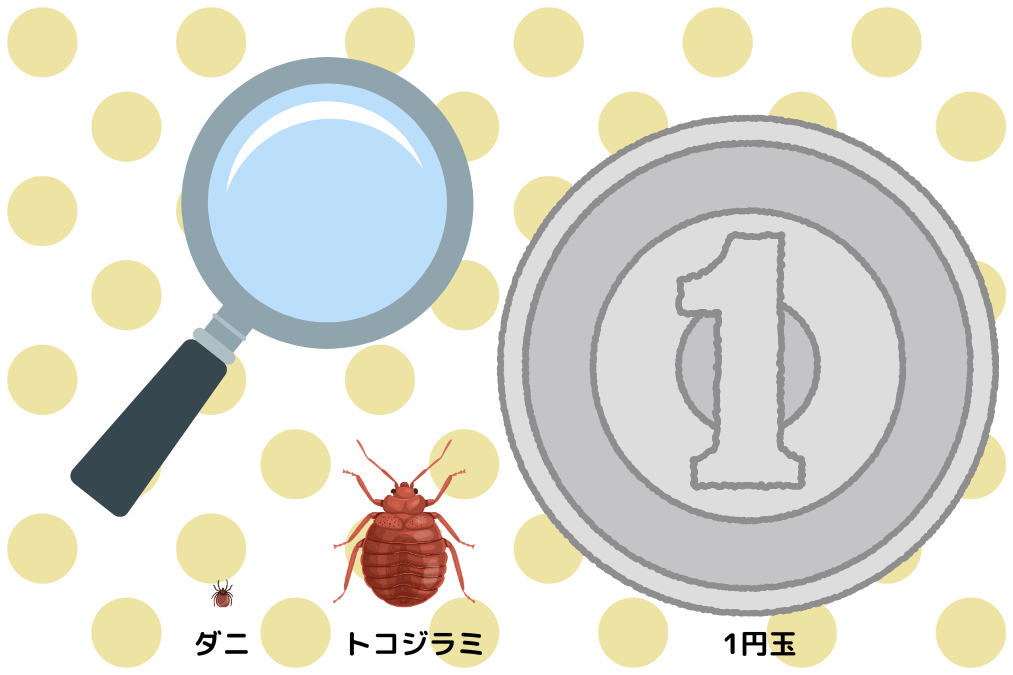 トコジラミとダニのサイズ比較のイラスト