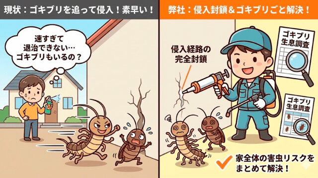 ゲジ駆除・対策の紹介