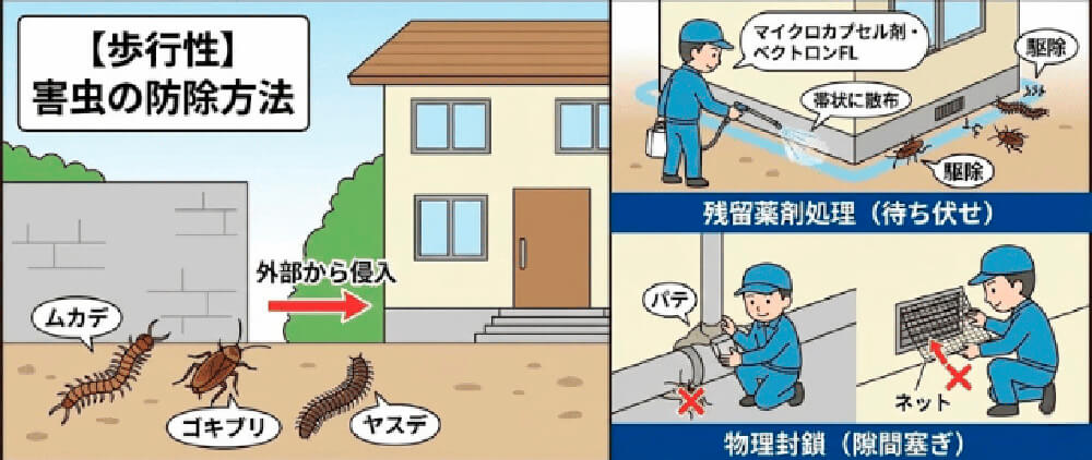 【歩行性】害虫の防除方法