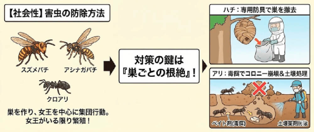 【社会性】害虫の防除方法