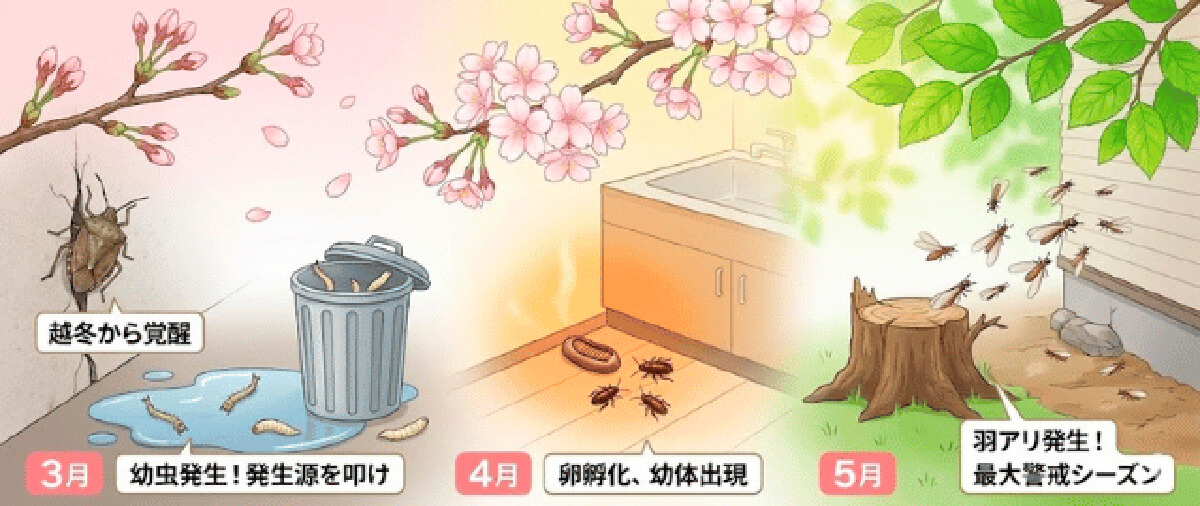 春（3月〜5月）：目覚めと繁殖の予兆