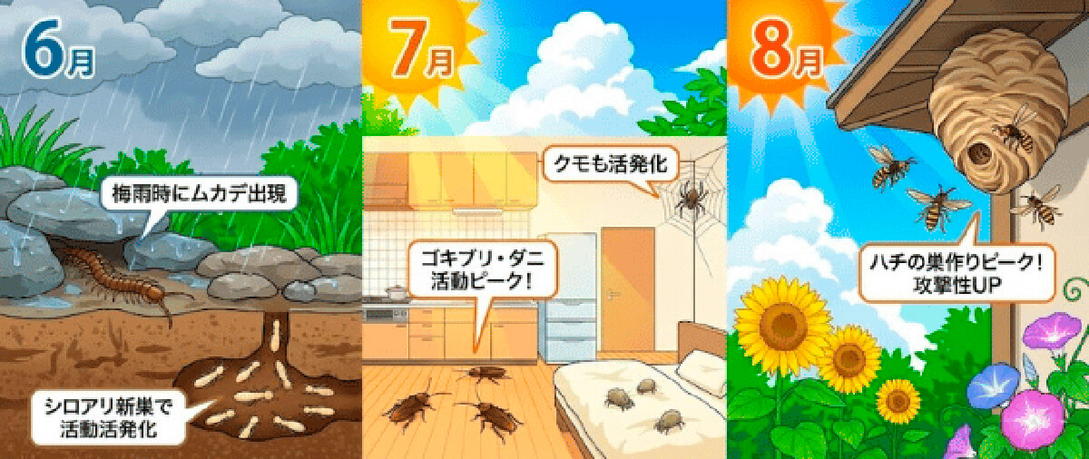 夏（6月〜8月）：害虫活動の「最盛期」