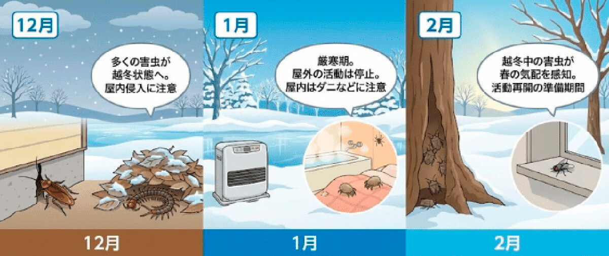 冬（12月〜2月）：屋内への避難