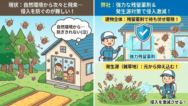 カメムシ駆除・対策の紹介