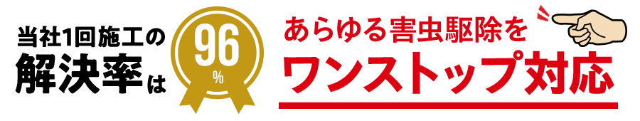 害虫駆除・対策