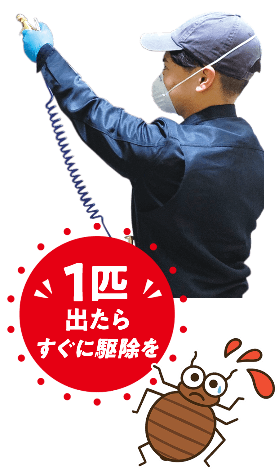 害虫駆除・対策