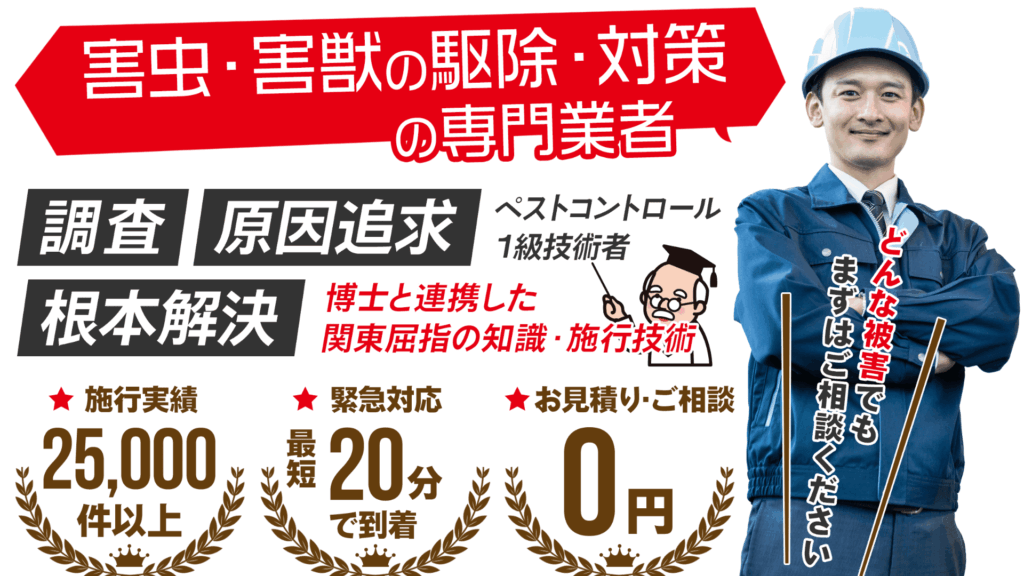 ゴキブリ駆除ならプロにお任せ！バナー画像