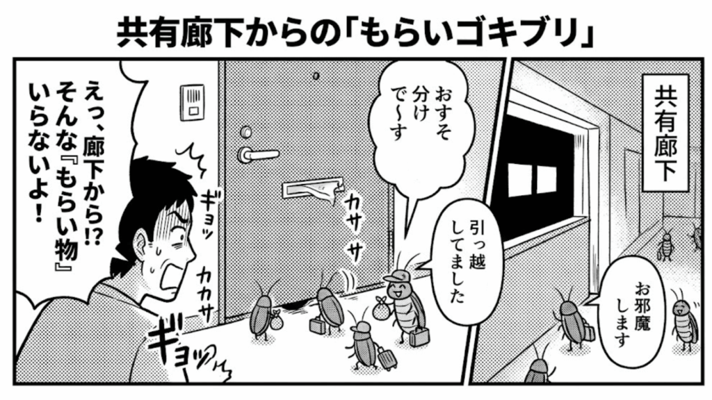 共有廊下からのゴキブリ侵入リスク