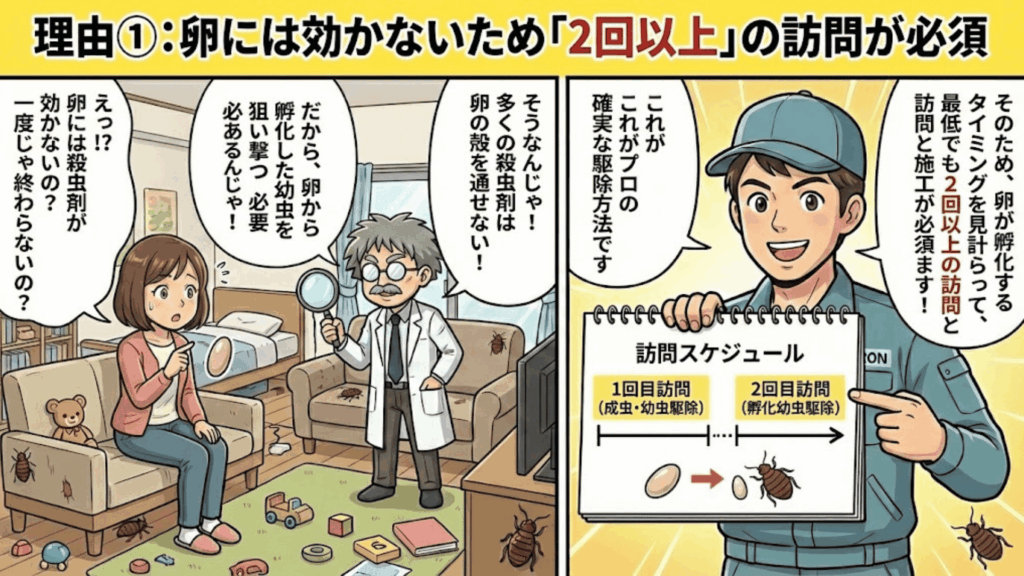 卵の孵化に合わせて2回以上の施工が必要な理由