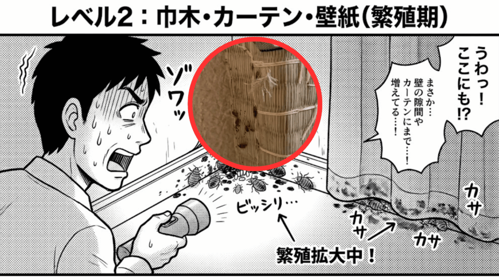 巾木やカーテンに広がる血糞（繁殖期）