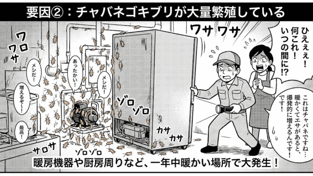 チャバネゴキブリの大量繁殖は駆除難易度が高い