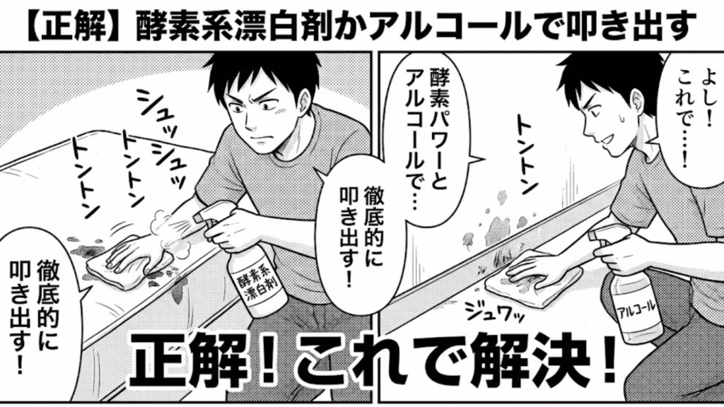 酵素系漂白剤やアルコールを使った正しい掃除法