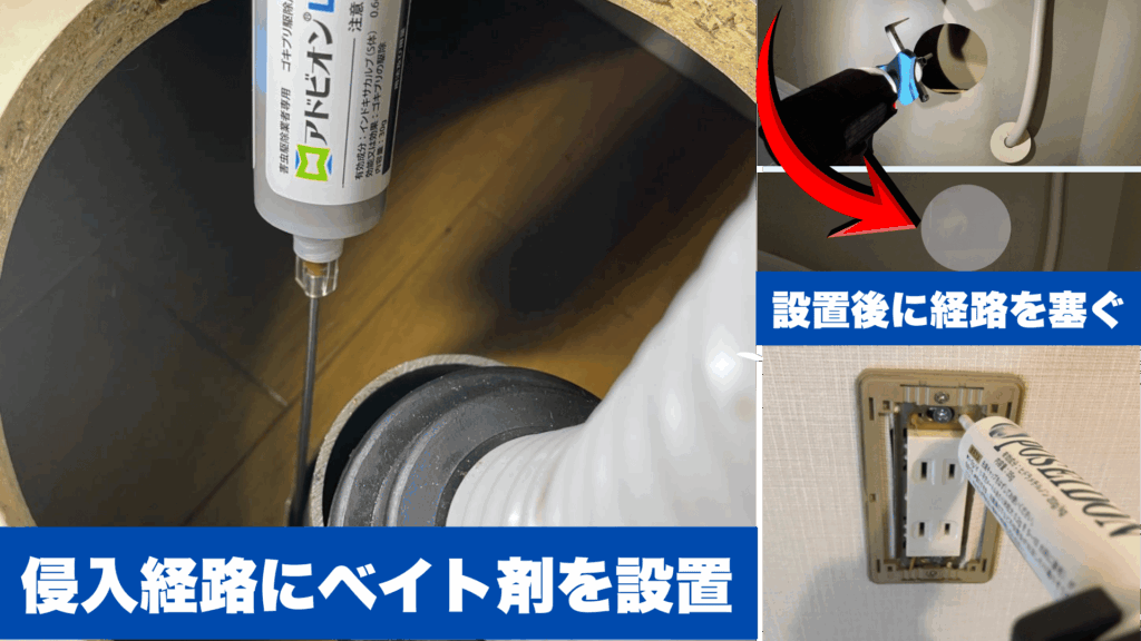 侵入ルートを特定して塞ぐ防除作業の様子