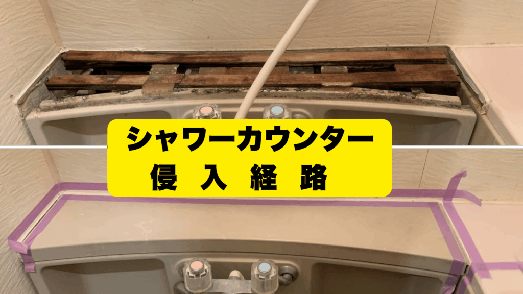 排水管の外側にある隙間が真の侵入経路