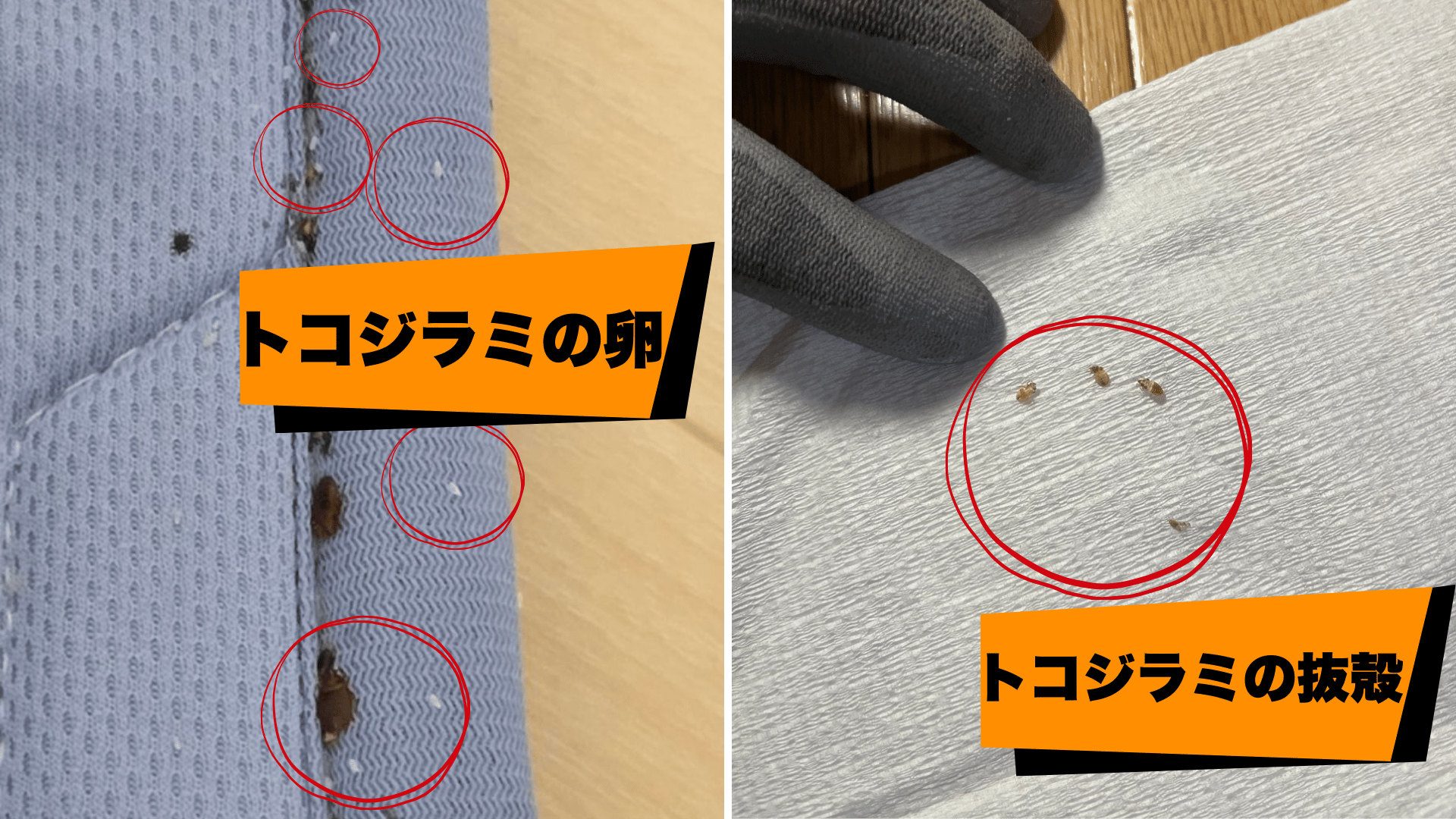 複数回の訪問による人件費の増加