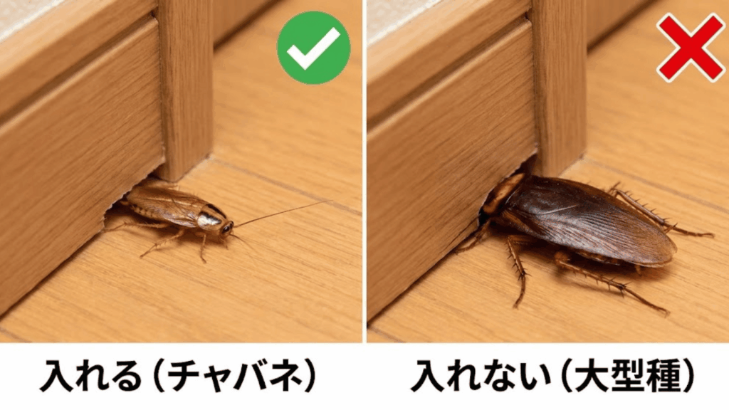 クロゴキブリとチャバネゴキブリのサイズ比較と侵入可否