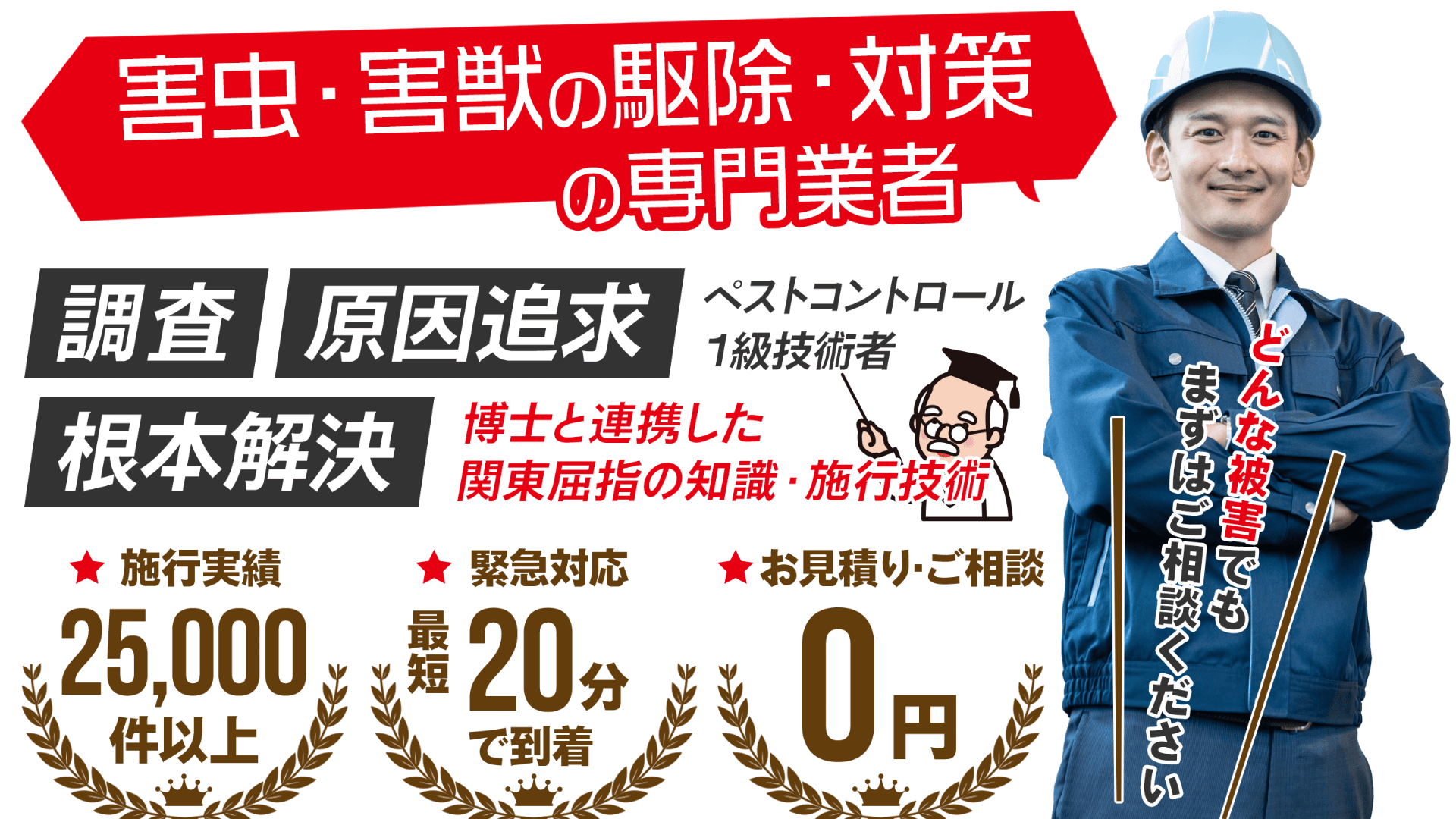 害虫駆除のプロにお任せください