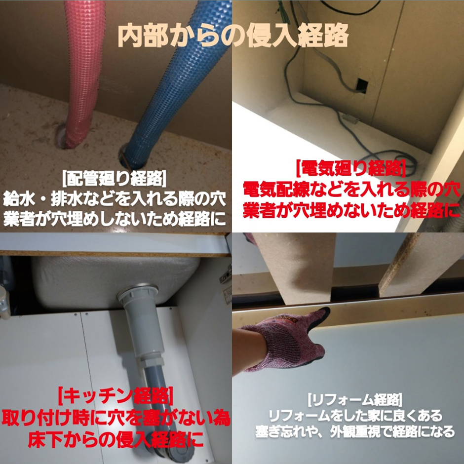 内部からの侵入経路