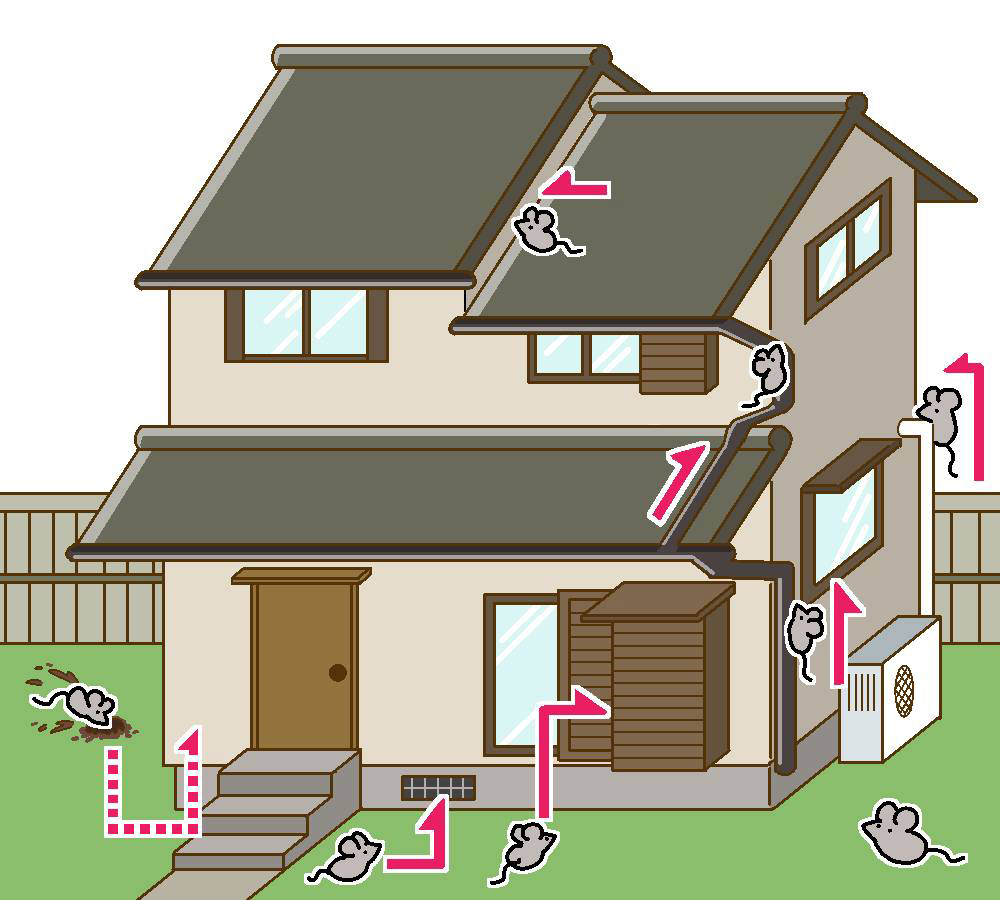 外部からの侵入経路