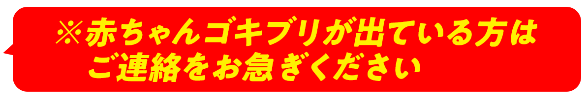※赤ちゃんゴキブリが出ている方はご連絡をお急ぎください