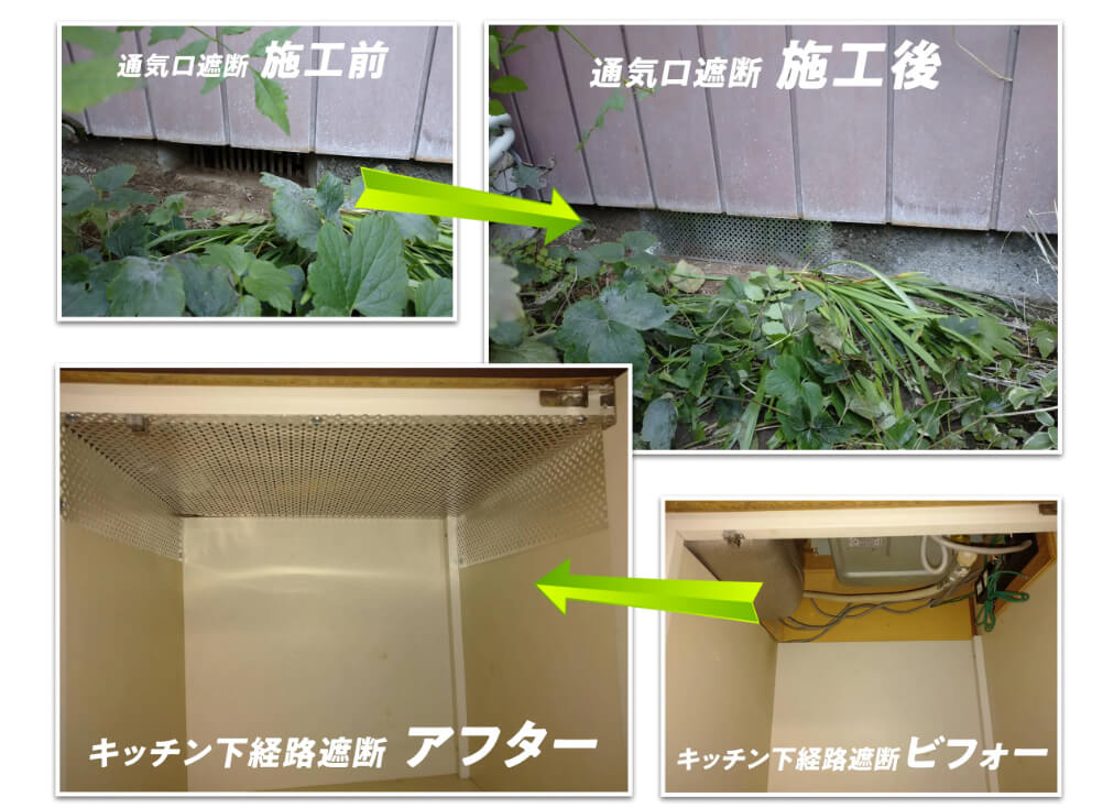 追い出した後は、すぐにネズミの侵入経路・出入口を一斉遮断