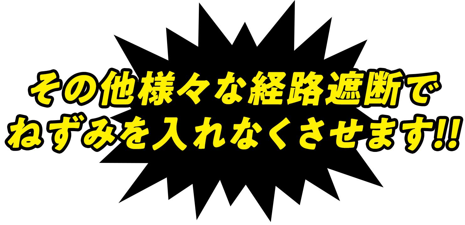 追い出した後は、すぐにネズミの侵入経路・出入口を一斉遮断