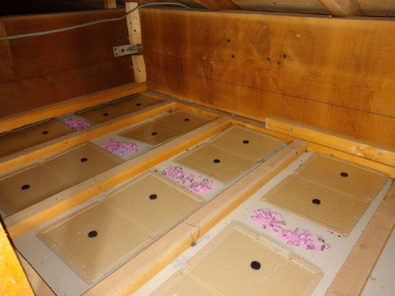 ネズミの粘着トラップの写真