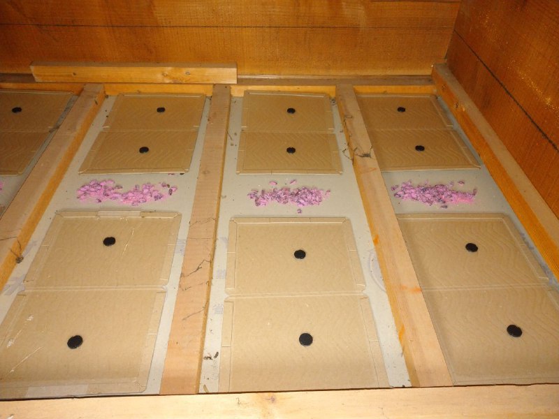 ネズミ捕獲の粘着シートの画像