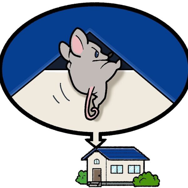 屋根と壁のすき間から家の中へ入り込もうとするネズミのイラスト