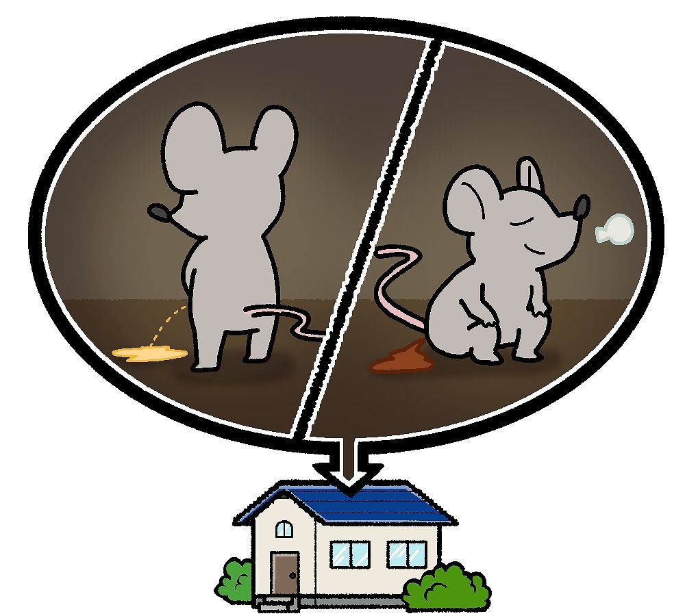 屋根裏で排尿と排便をするネズミのイラスト