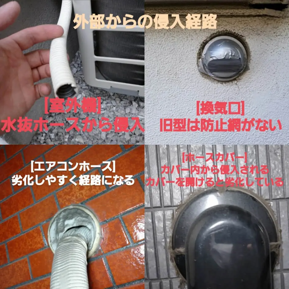 壁裏につながる侵入経路の現場写真