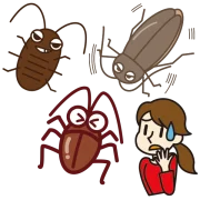 ゴキブリ出た