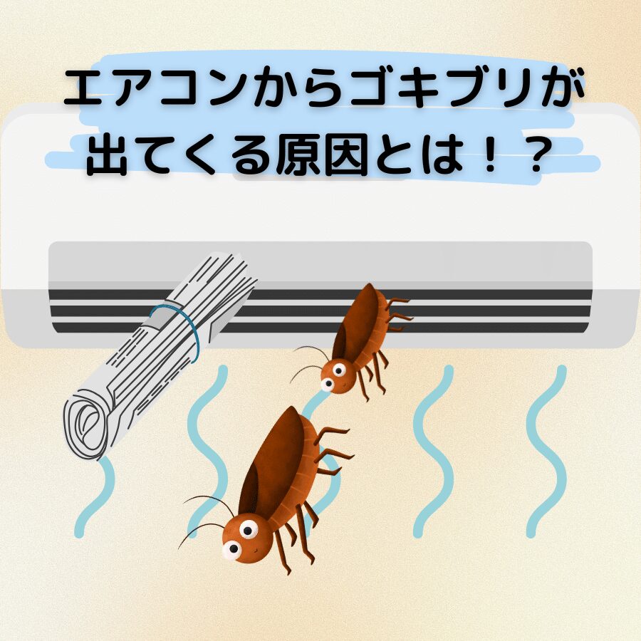 エアコン から 虫