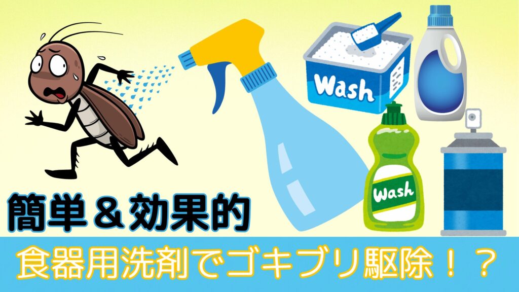 【今すぐできる!!】ゴキブリを自分で退治する方法 - 害虫獣SOS