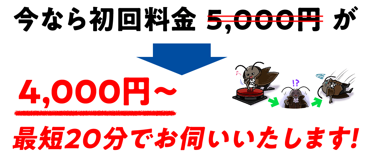 今なら基本料金が3,000円