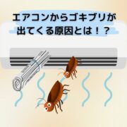 エアコンからゴキブリ