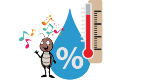ゴキブリ高温多湿大量発生