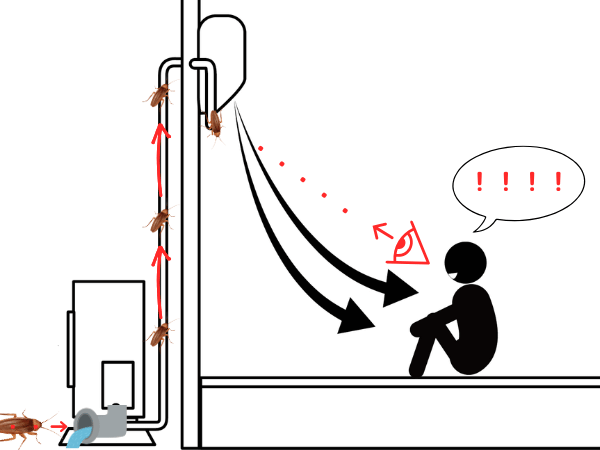 エアコンドレンホースからゴキブリ侵入