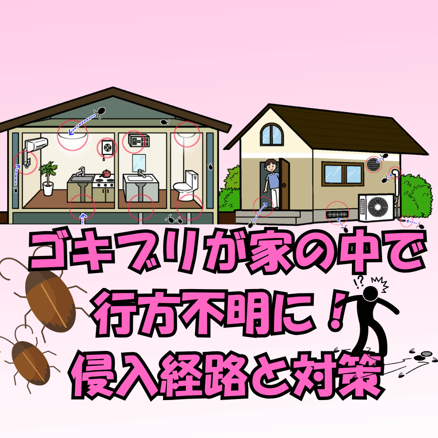 ゴキブリ　家の中　見失った