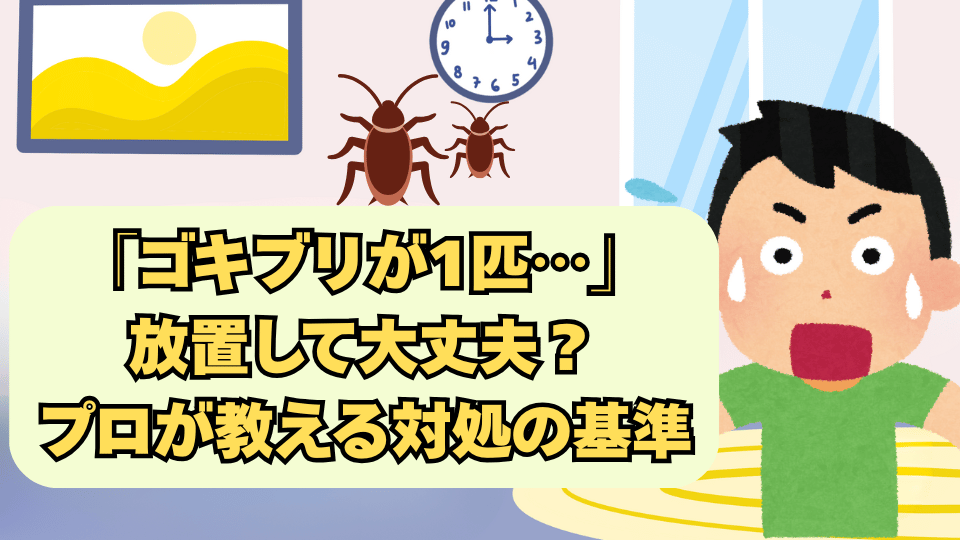 ゴキブリ　１匹だけ　でたらどうする