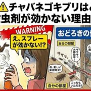 チャバネゴキブリの発生元と殺虫剤が効かない理由のイラスト
